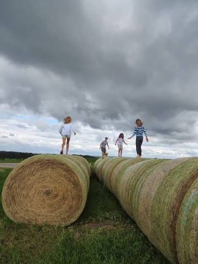AGRIBUSINESS: THE BACKBONE OF A STRONGER SOCIETY